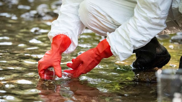 An individual collecting a sample of water from a river.