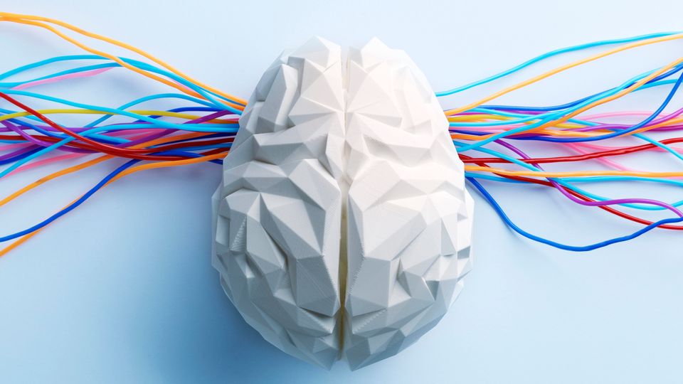 A 3D model of a human brain.