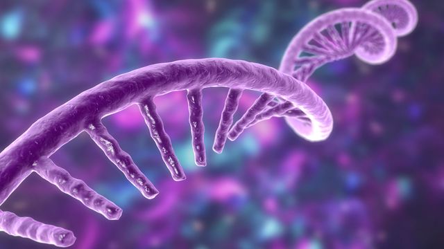 Best Practices for In Vitro Transcribed mRNA Analysis