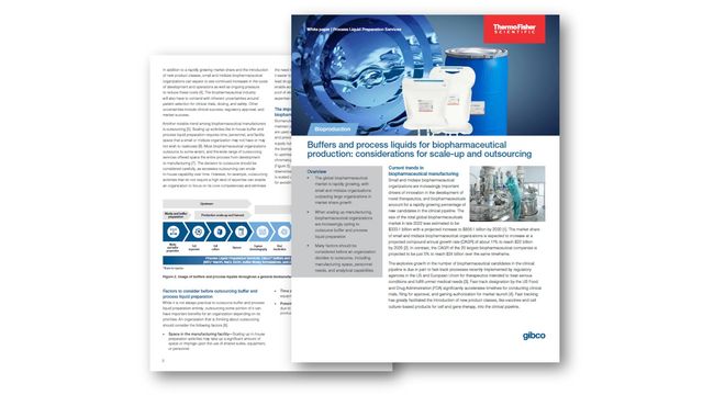 Whitepaper preview