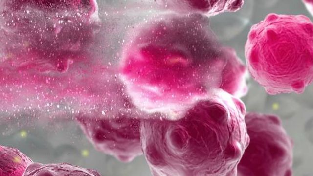 Cancer Research