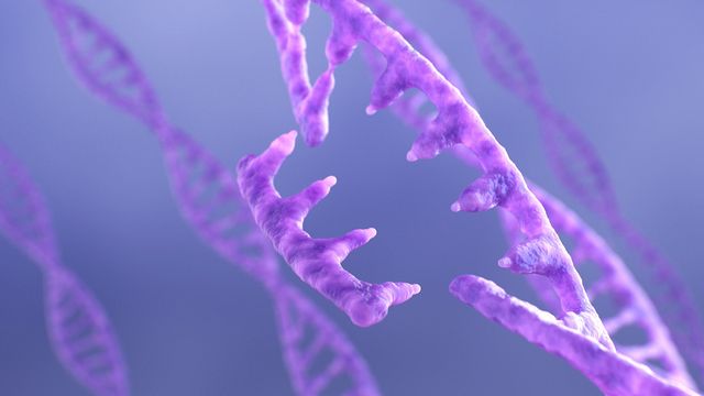 DNA and RNA